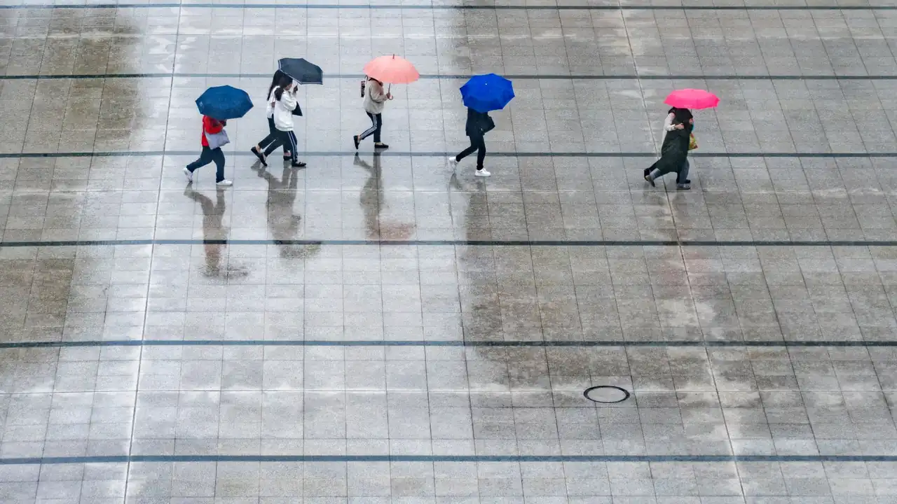 在线jyzzjyzzz免费视频国产平台的选择指南